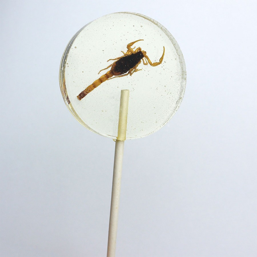 Scorpion candy on sale